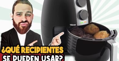 ¿Qué cosas se pueden meter en una freidora de aire?