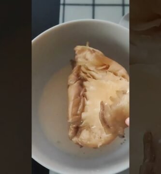 snack ligero hecho en freidora de aire de pollo vegana
