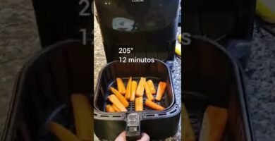 preparación sencilla con freidora sin aceite de zanahoria con especias